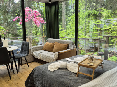 Стеклянный домик в Домбае в лесу